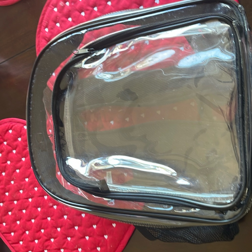 Clear see through backpack.